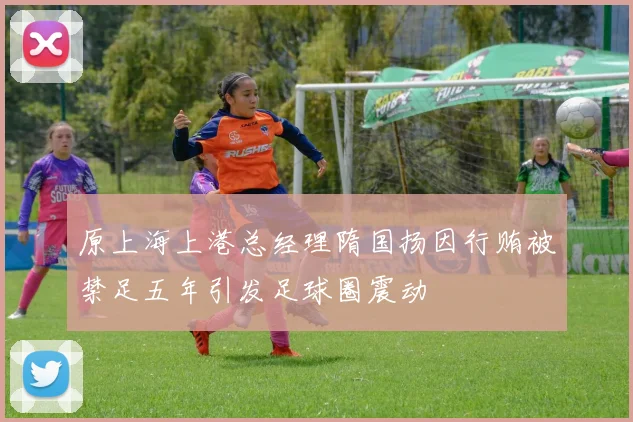 原上海上港总经理隋国扬因行贿被禁足五年引发足球圈震动